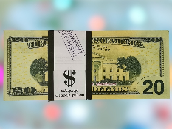 20dolarów USA banknot do zabawy i nauki plik100szt+GRATIS 2 8430bba52eab91c686c8909f26558370